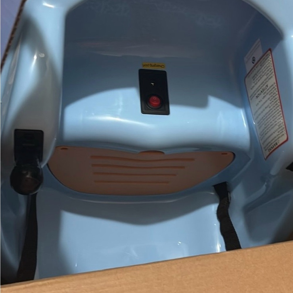 Blue bluey Flybar bumper car